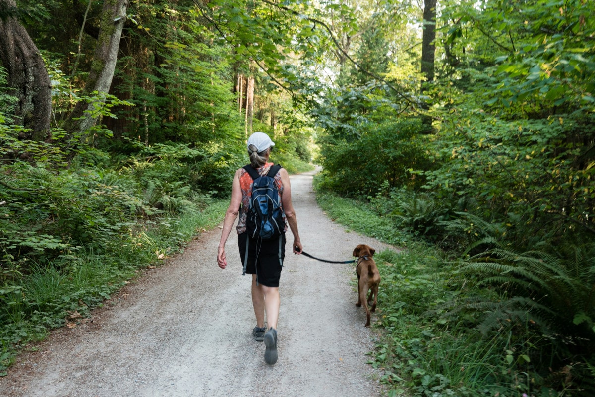 Why Every Dog Owner Needs a Quality Leash