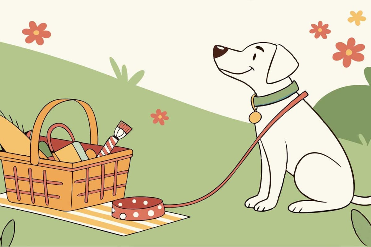 Preparing Your Dog Gear for Spring: A Must-Do Checklist