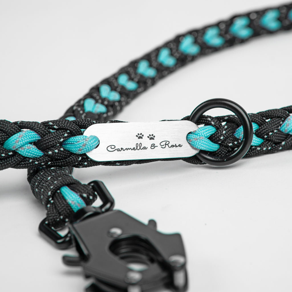 Friends forever slip top leash