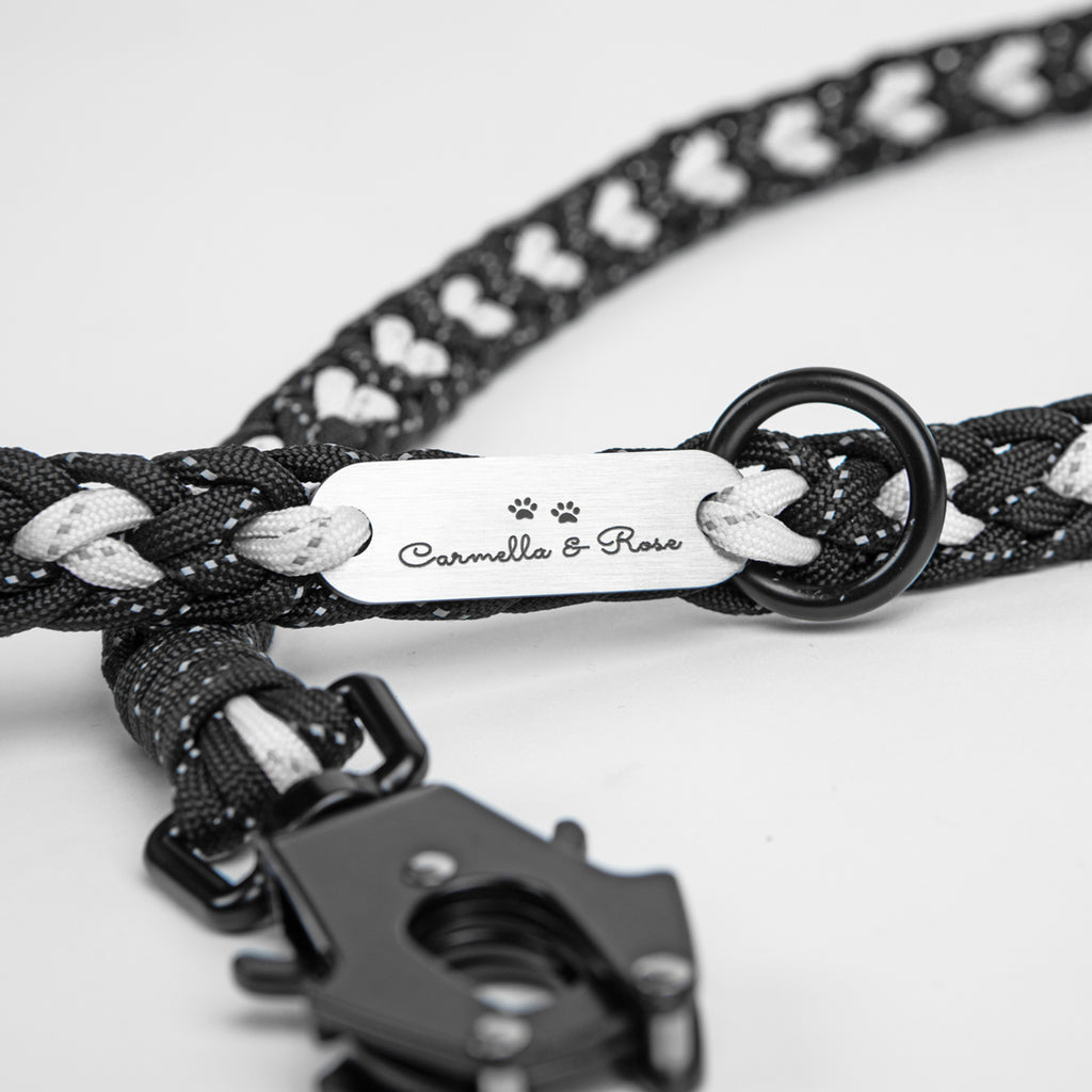 Friends best sale forever leash